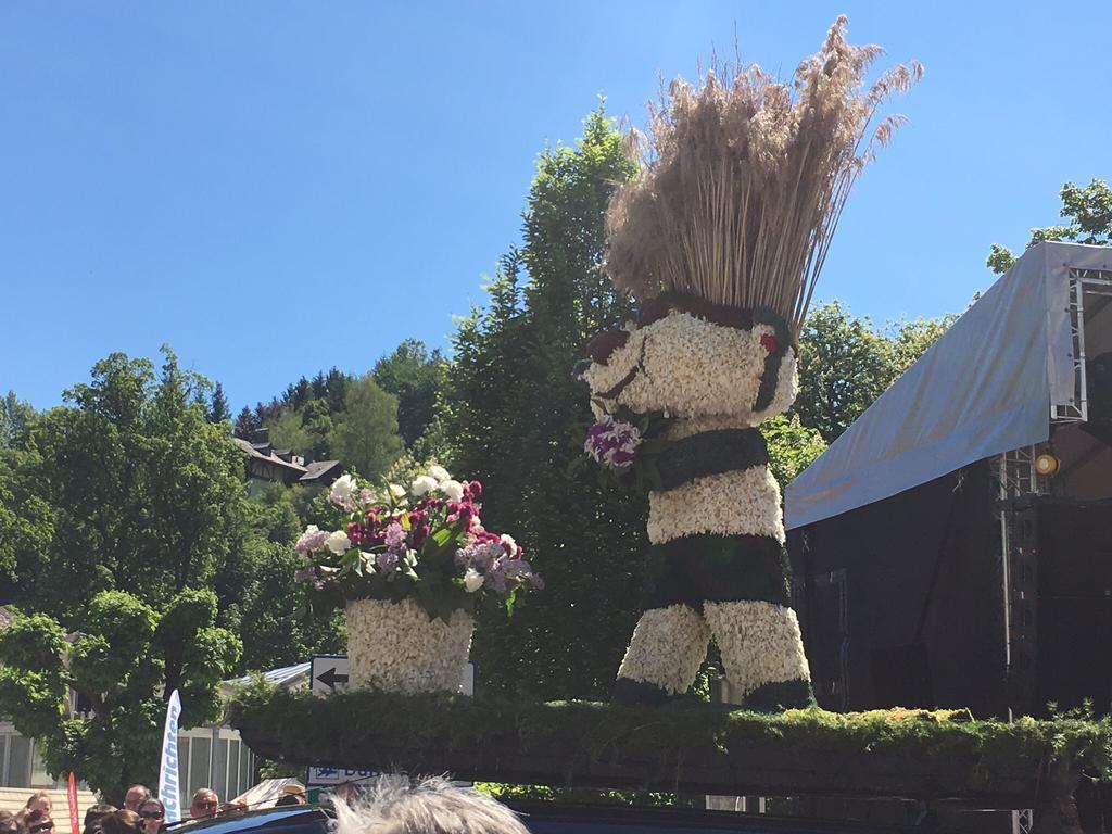 Alpine Appartments Ausseerland Bad Aussee Εξωτερικό φωτογραφία