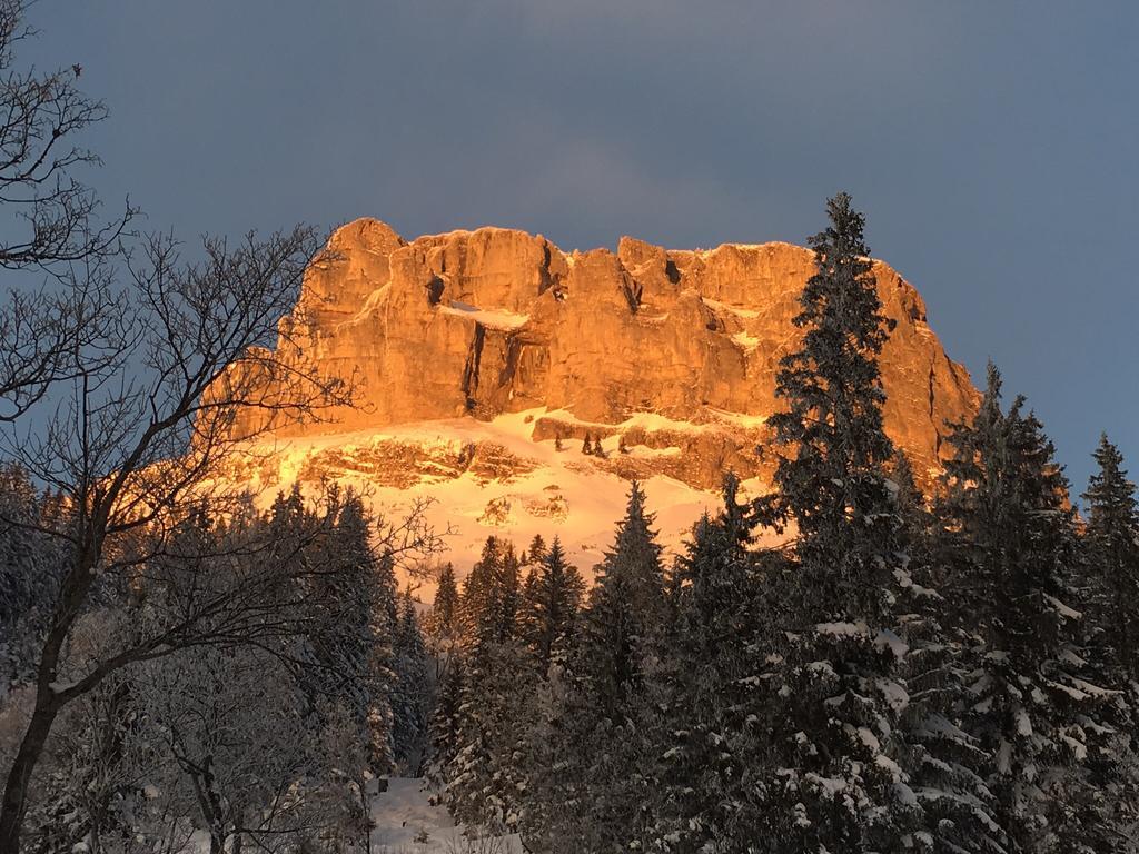 Alpine Appartments Ausseerland Bad Aussee Εξωτερικό φωτογραφία